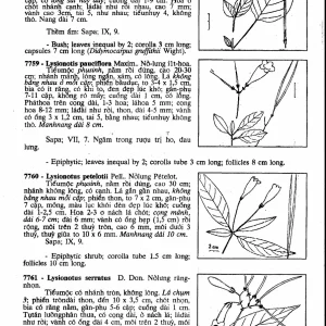Cây Cỏ Việt Nam (Bộ 3 quyển) – Phạm Hoàng Hộ