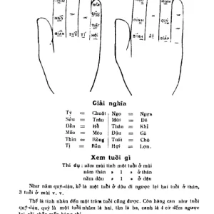 Tử Vi Lập Thành Và Phụ Đoán – Nguyễn Phúc Ấm