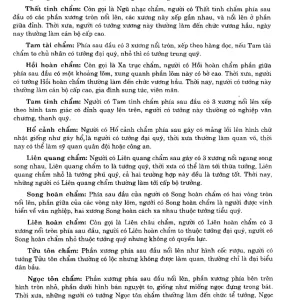 Tìm Hiểu Nhân Tướng Học Theo Kinh Dịch