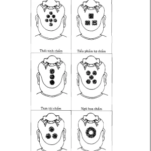 Tìm Hiểu Nhân Tướng Học Theo Kinh Dịch