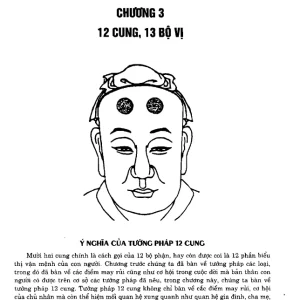 Tìm Hiểu Nhân Tướng Học Theo Kinh Dịch