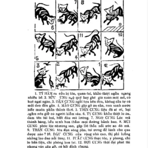 Tam Thế Diễn Cầm – Vũ Đăng dịch (1940)