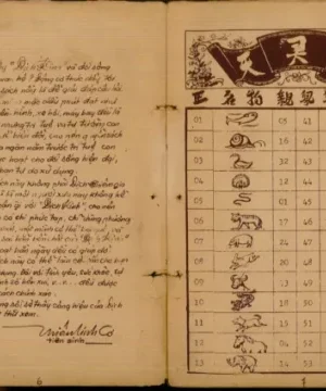 Bảo Tài Chi Thuật