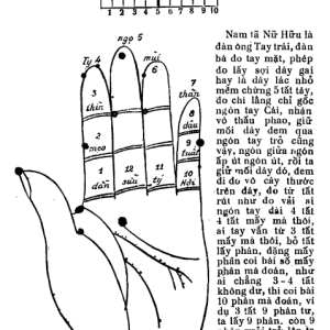 Đại Độn Toán Số – Lê Văn Nhàn