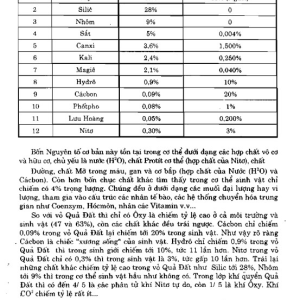 Lý Thuyết Tam Nguyên Cửu Vận Và Nguyên Lý Dự Báo Cổ