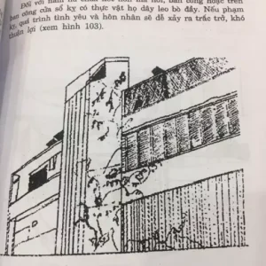 Ý Nghĩa Các Phép Trấn Của Người Việt Xưa