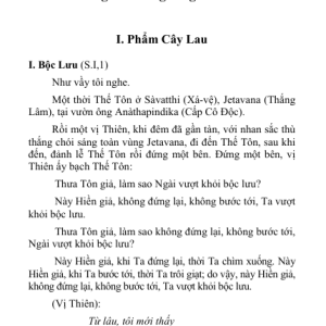 Kinh Tương Ưng Bộ (5 cuốn) – Hòa thượng Thích Minh Châu