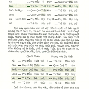 Lục Hào Nghi Hoặc Chỉ Mê – Vương Hổ Ứng