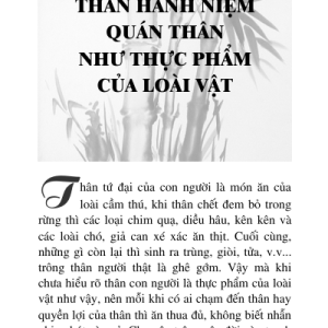 Muốn Chứng Đạo Phải Tu Pháp Môn Nào – Trưởng Lão Thích Thông Lạc
