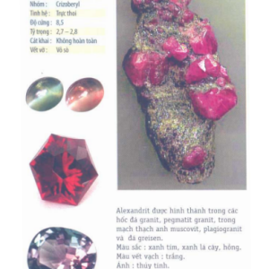 Sổ Tay Người Chơi Đá - In Màu Cực Đẹp