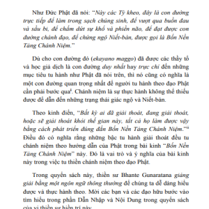 Bốn Nền Tảng Chánh Niệm