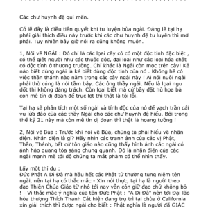 Tu Luyện Bùa Thần