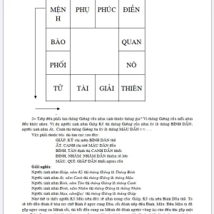 Tử vi thực hành dịch lý huyền cơ