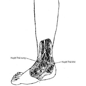 Hoàng Đế Nội Kinh Quyển 2 - Bản Dịch Kinh Điển Cực Chính Xác - Chơn Nguyên