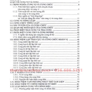 Trung Châu Tử Vi Đẩu Số Tứ Hóa Phái Tập 2 - Nguyễn Anh Vũ