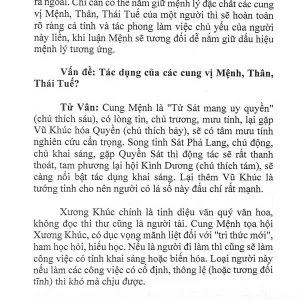 Tử Vi Đẩu Số Bản Tính Của Tinh Diệu - Tập 1 - Thẩm Trừng Vũ