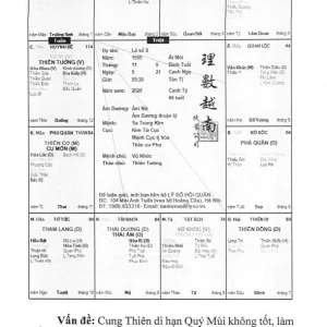 Tử Vi Đẩu Số Bản Tính Tinh Diệu - Tập 2 - Thẩm Trừng Vũ