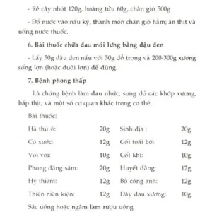 500 Bài Thuốc Đông Y Gia Truyền Trị Bách Bệnh