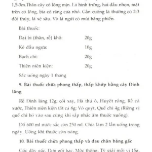 500 Bài Thuốc Đông Y Gia Truyền Trị Bách Bệnh